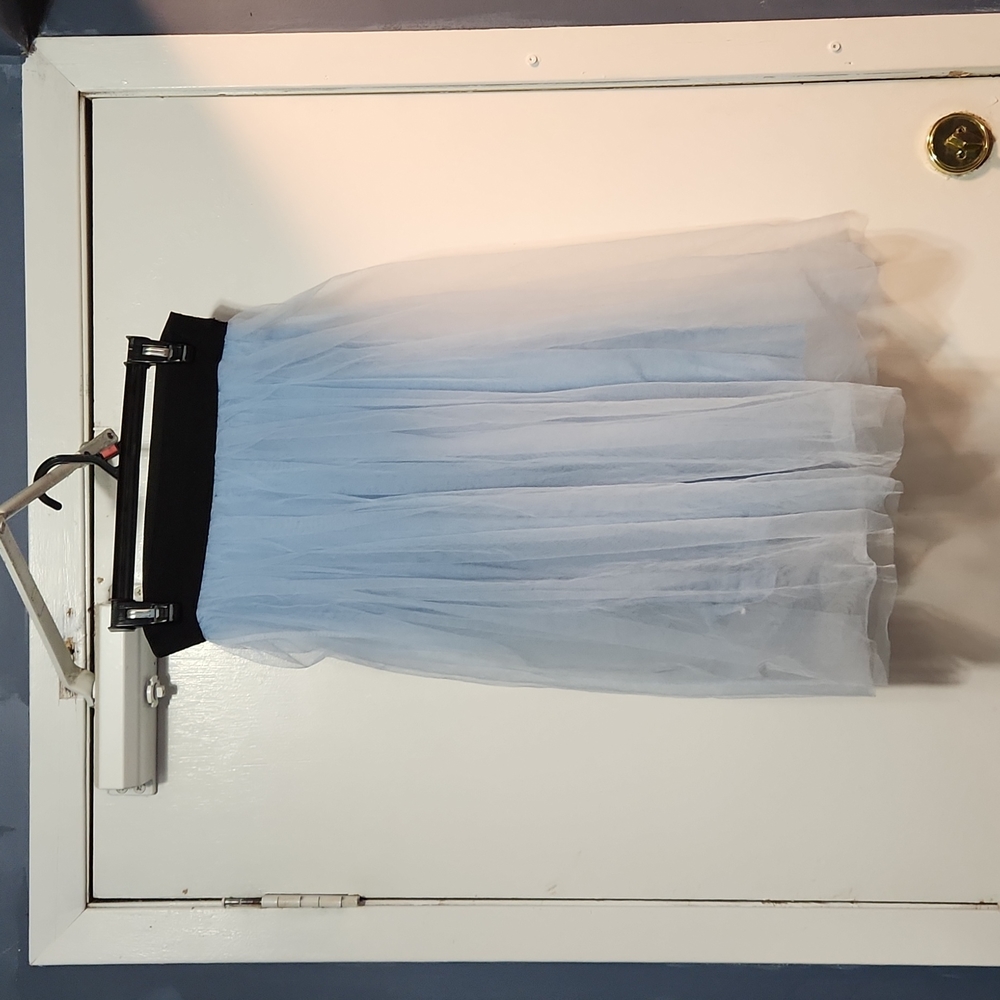Crinoline skirt